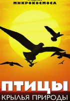  Птицы: Крылья природы смотреть онлайн сериал 1 сезон 