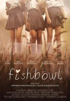  Аквариум смотреть онлайн (2018) 