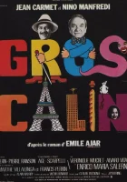  Ласковый толстячок смотреть онлайн Gros câlin (1979) 