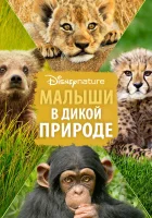  Малыши в дикой природе смотреть онлайн (2016) 