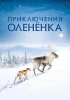  Приключения оленёнка смотреть онлайн (2018) 