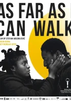  Пока я могу идти смотреть онлайн (2021) бесплатно в HD