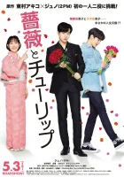  Роза и тюльпан смотреть онлайн (2019) 