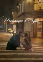  Неспящие в Сеуле смотреть онлайн Одинокие в Сеуле (2023) 