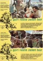  На горе растет зеленая сосна смотреть онлайн Назови пароль! (1971) 