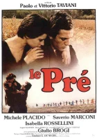  Поляна смотреть онлайн (1979) бесплатно в HD