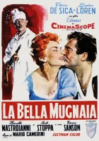  Прекрасная мельничиха смотреть онлайн (1955) 