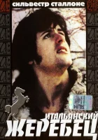 Итальянский жеребец смотреть онлайн (1970) 
