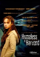  Гарвардский бомж смотреть онлайн (2003) 