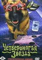  Четвероногая звезда смотреть онлайн (2002) 