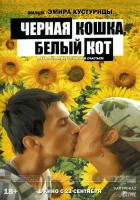  Черная кошка, белый кот смотреть онлайн (1998) 