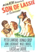  Сын Лесси смотреть онлайн (1945) бесплатно в HD