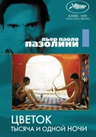  Цветок тысяча и одной ночи смотреть онлайн Цветок 1001 ночи (1974) бесплатно в HD