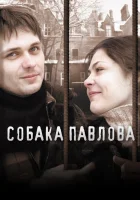  Собака Павлова смотреть онлайн (2005) бесплатно в HD