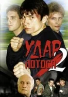  Удар Лотоса 2: Сладкая горечь полыни смотреть онлайн фильм 1 сезон бесплатно в HD