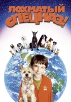  Лохматый спецназ смотреть онлайн (2003) 