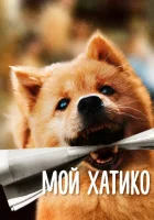  Мой Хатико смотреть онлайн Hachiko (2023) бесплатно в HD