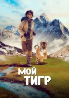  Мой тигр смотреть онлайн (2022) 