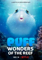  Чудеса кораллового рифа смотреть онлайн (2021) 
