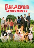  Академия четвероногих смотреть онлайн (2024) 