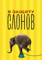  В защиту слонов смотреть онлайн (2013) 