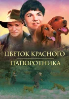  Цветок Красного папоротника смотреть онлайн (2003) 