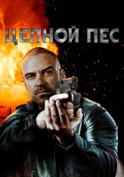  Цепной пёс смотреть онлайн Запятнанный (2020) бесплатно в HD