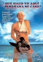  Особенности холостяцкой вечеринки смотреть онлайн Раздолбай (1994) 